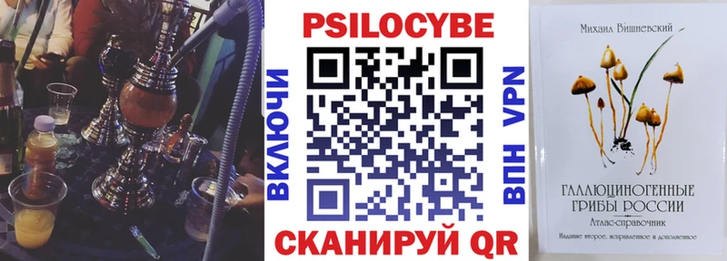Галлюциногенные грибы Psilocybe  Узловая 